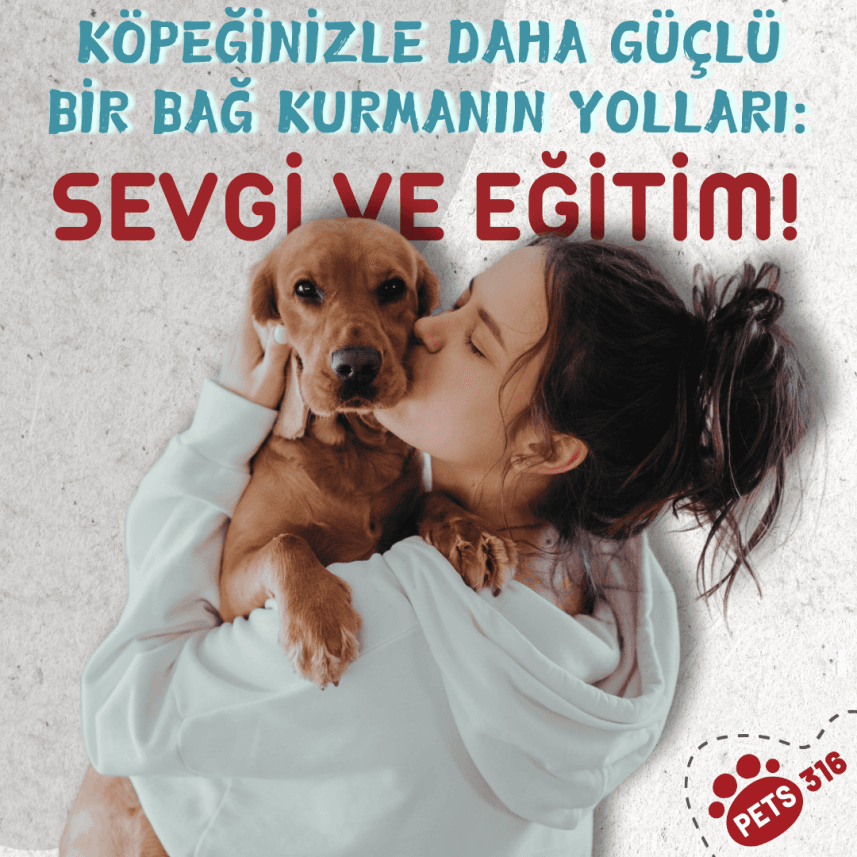 Dilara K. — çalışma 3
