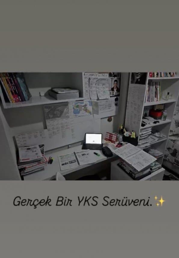 Dilara U. — çalışma 2