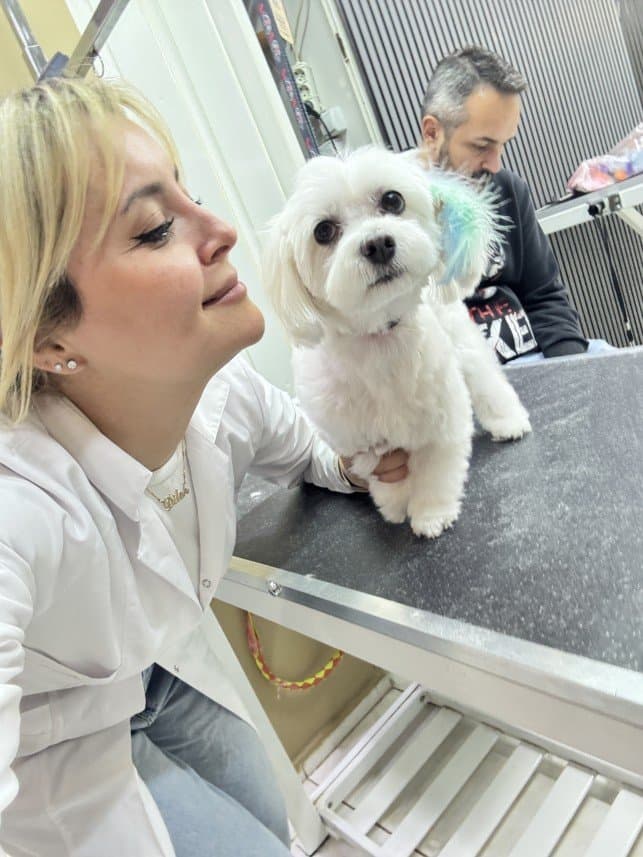 Dilek B. — çalışma 3