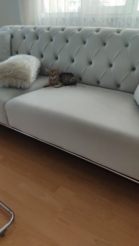 Dilek O. — çalışma 1