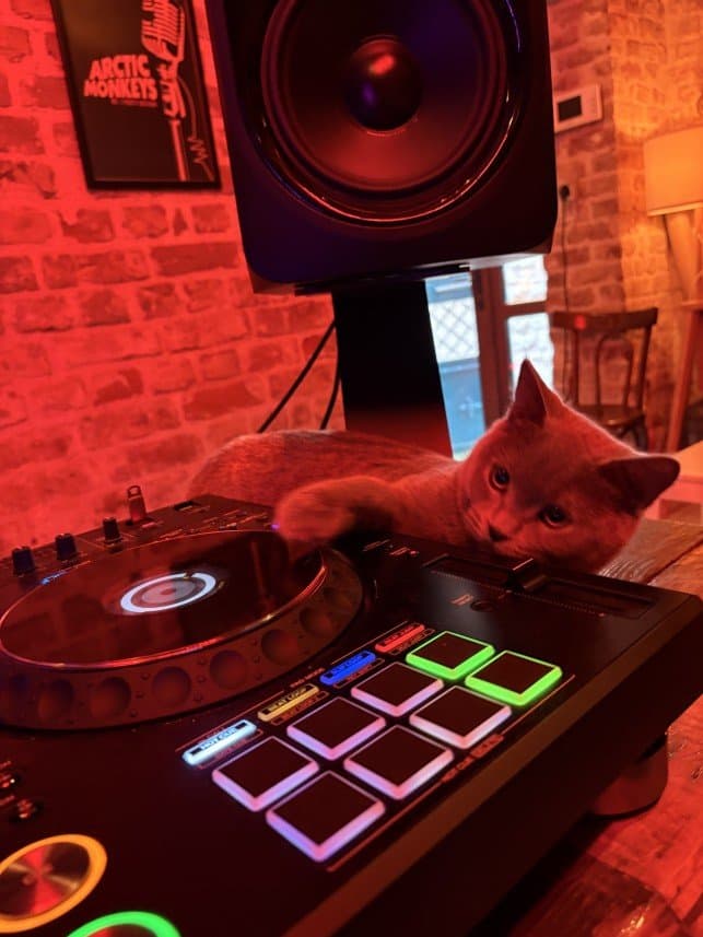 DJ N. — çalışma 7