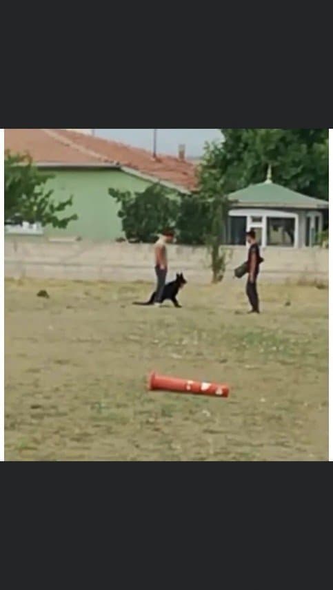 Lokman A. — çalışma 6