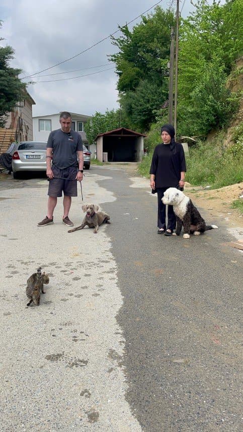 Dog İ. — çalışma 2