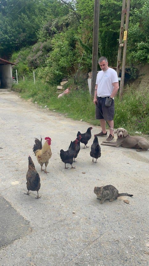 Dog İ. — çalışma 5
