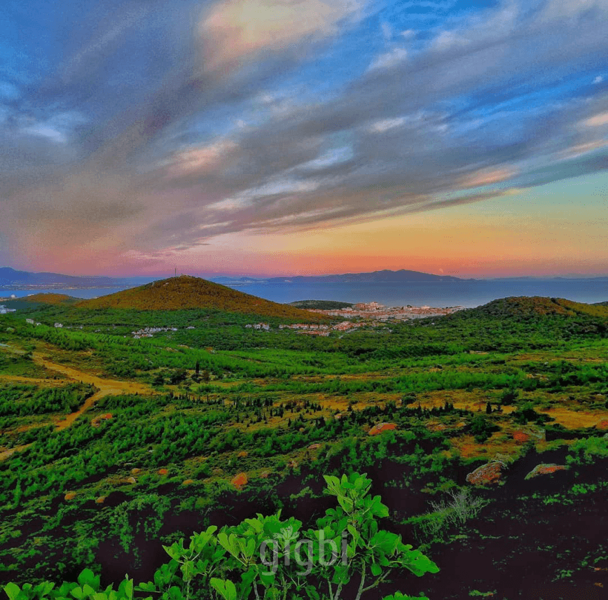 Doğan S. — çalışma 3