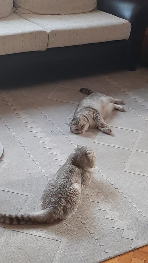Ebru Ç. — çalışma 3