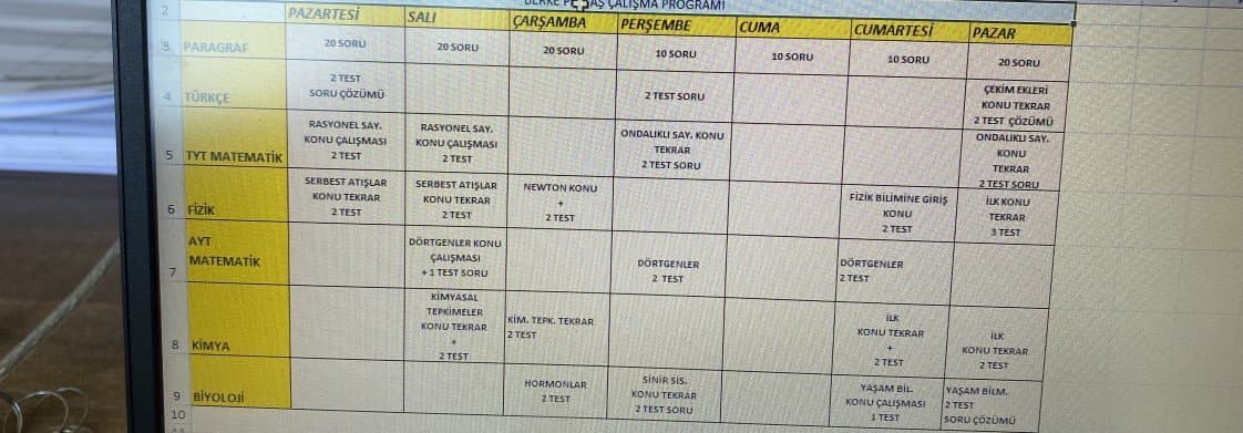 Ece D. — çalışma 6