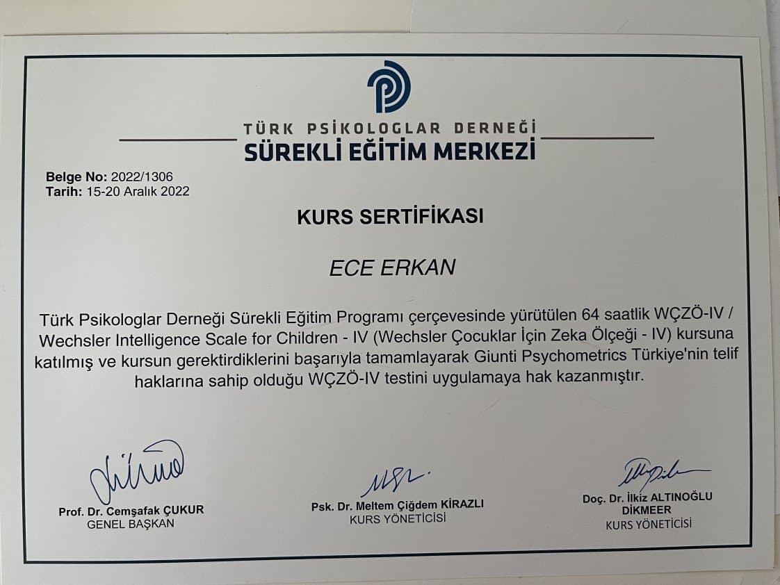 Ece E. — çalışma 3