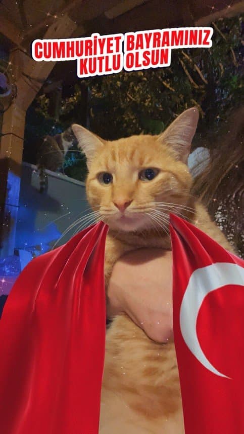 Eda B. — çalışma 2