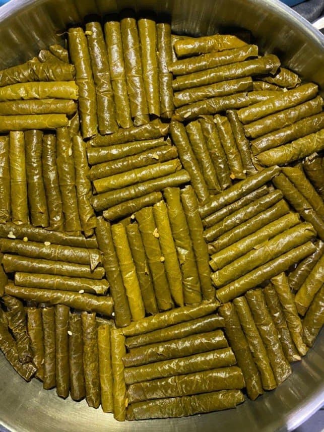 Eda N. — çalışma 5