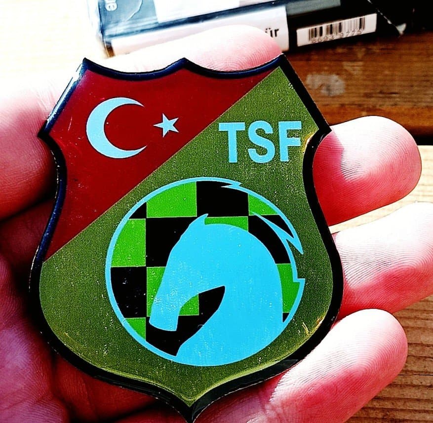 Efe A. — çalışma 1