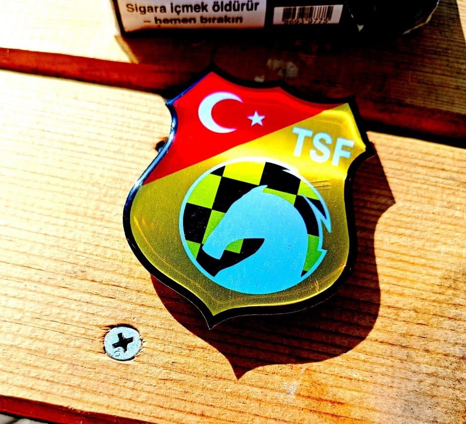 Efe A. — çalışma 2