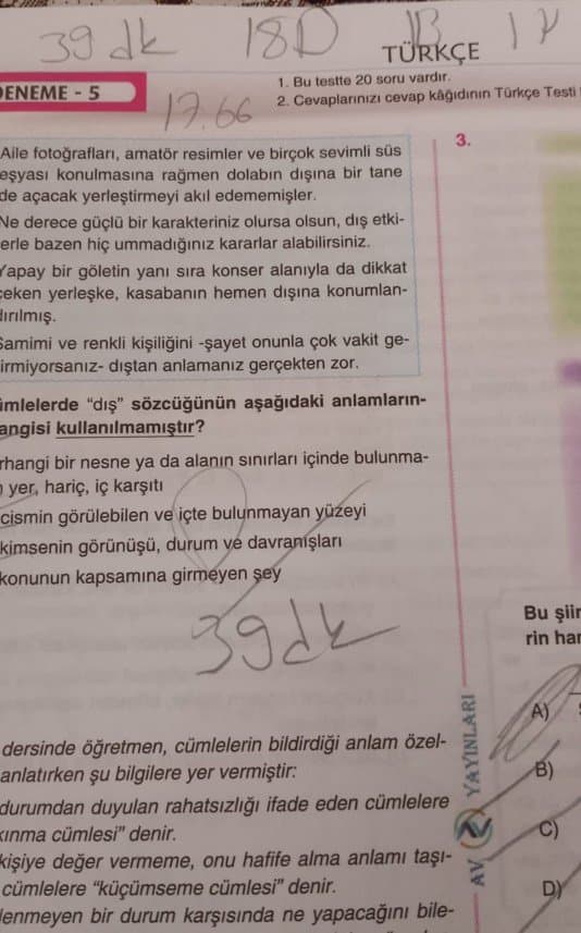 Efe B. — çalışma 2