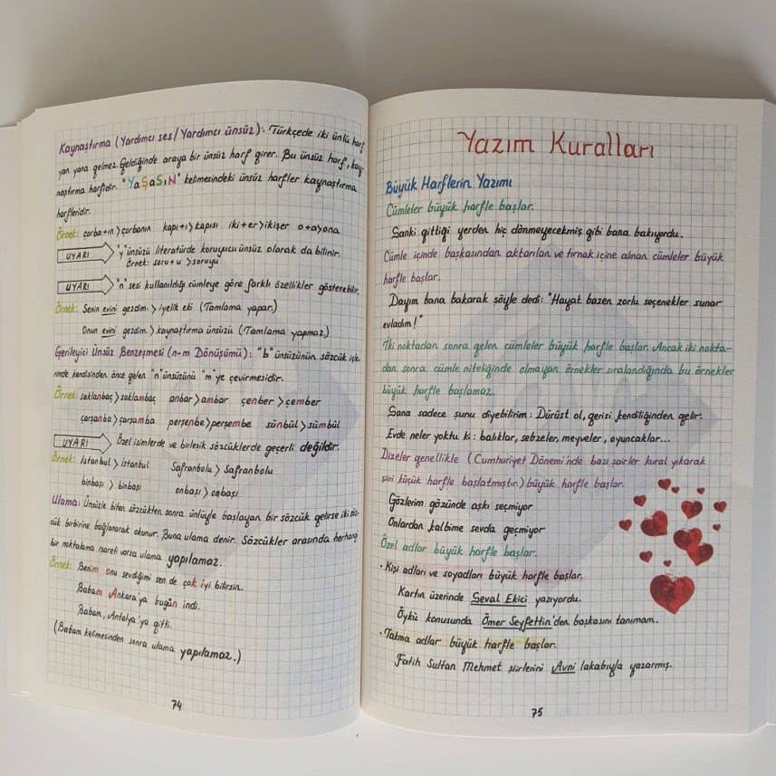 Efe K. — çalışma 4