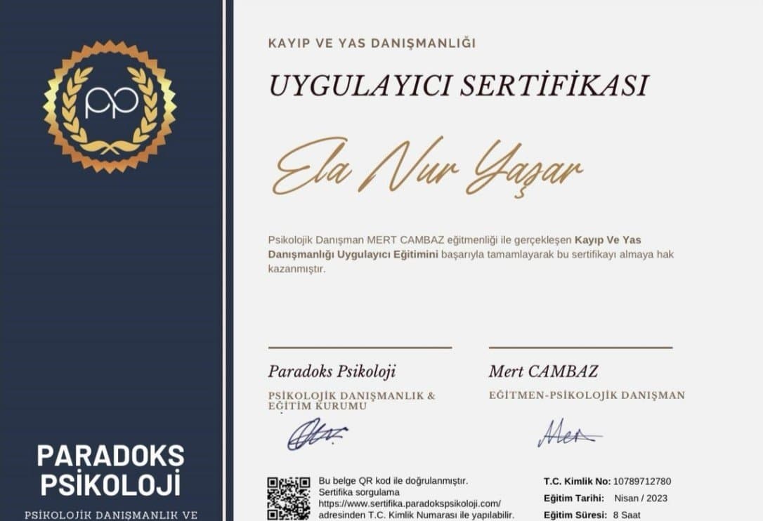 Ela Y. — çalışma 2