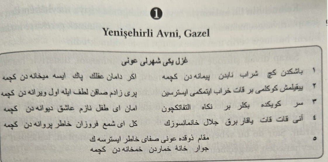 Elanur Ö. — çalışma 7