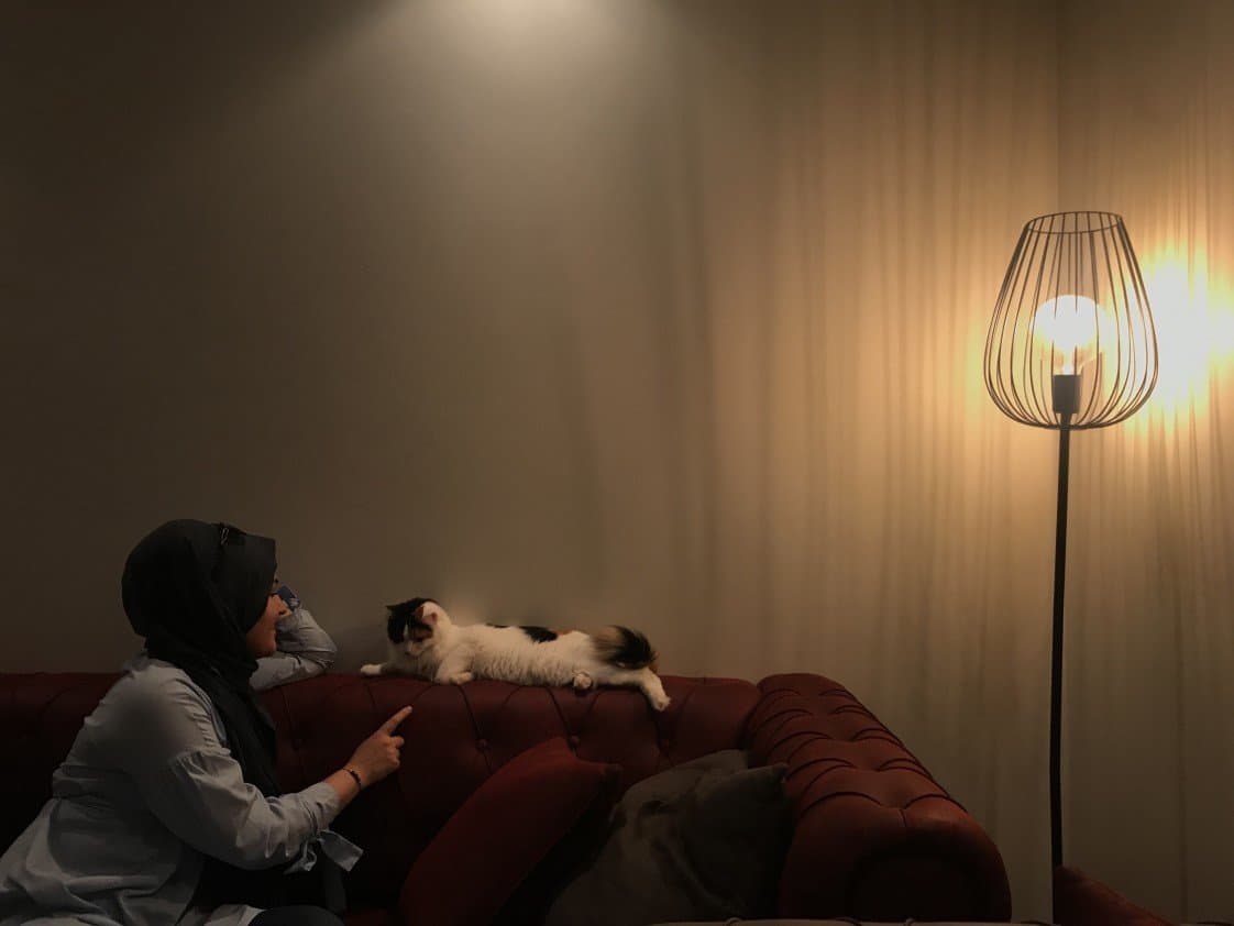 Elif A. — çalışma 5