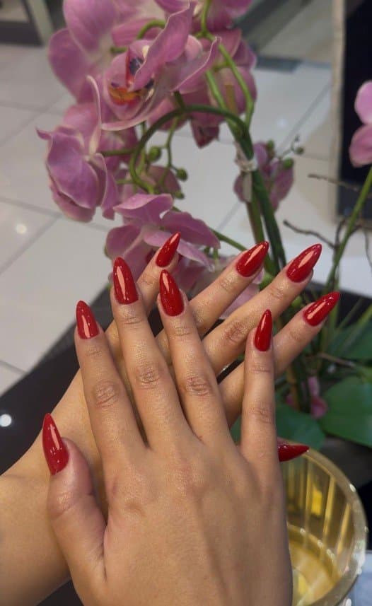 Elif B. — çalışma 3