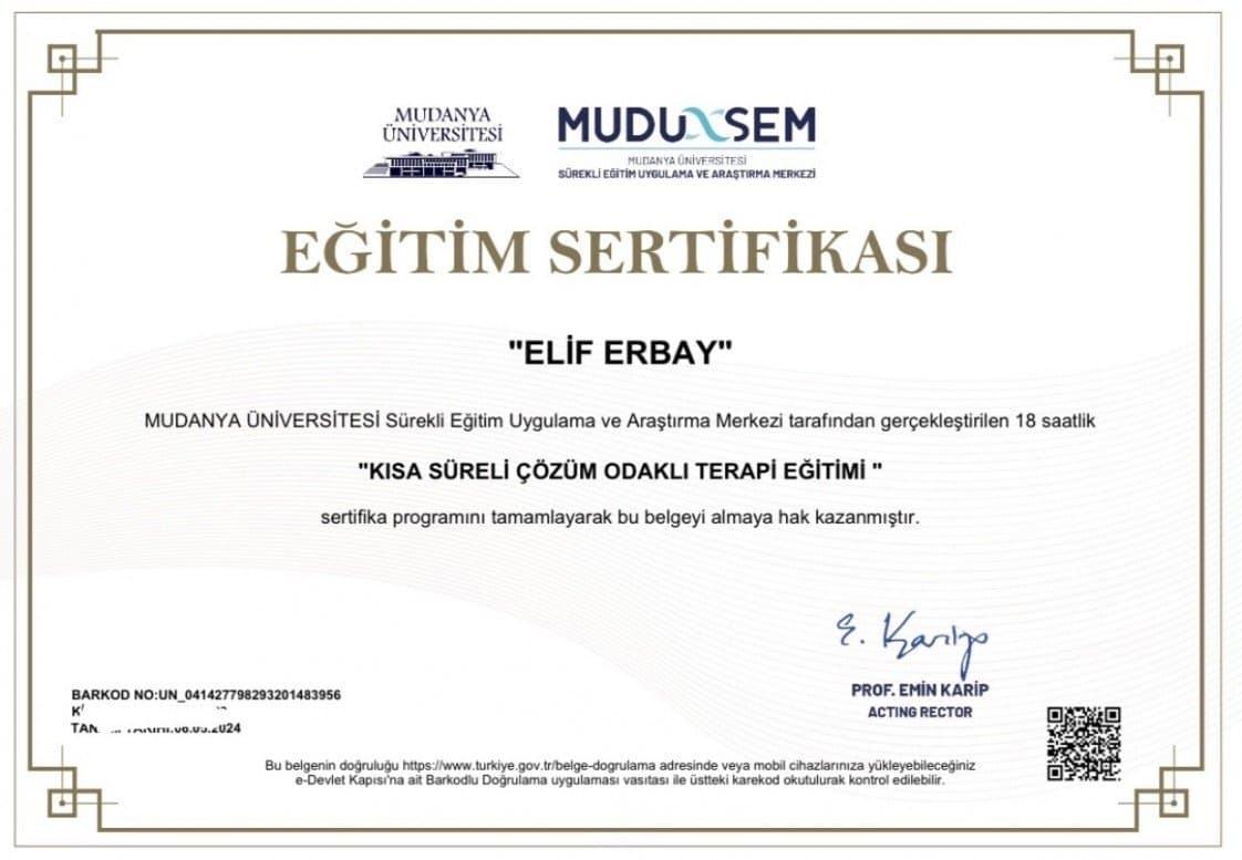 Elif E. — çalışma 2