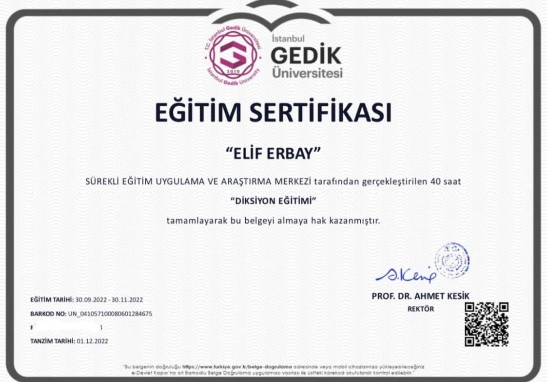 Elif E. — çalışma 3