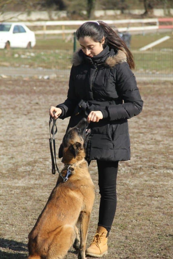 Elif E. — çalışma 5