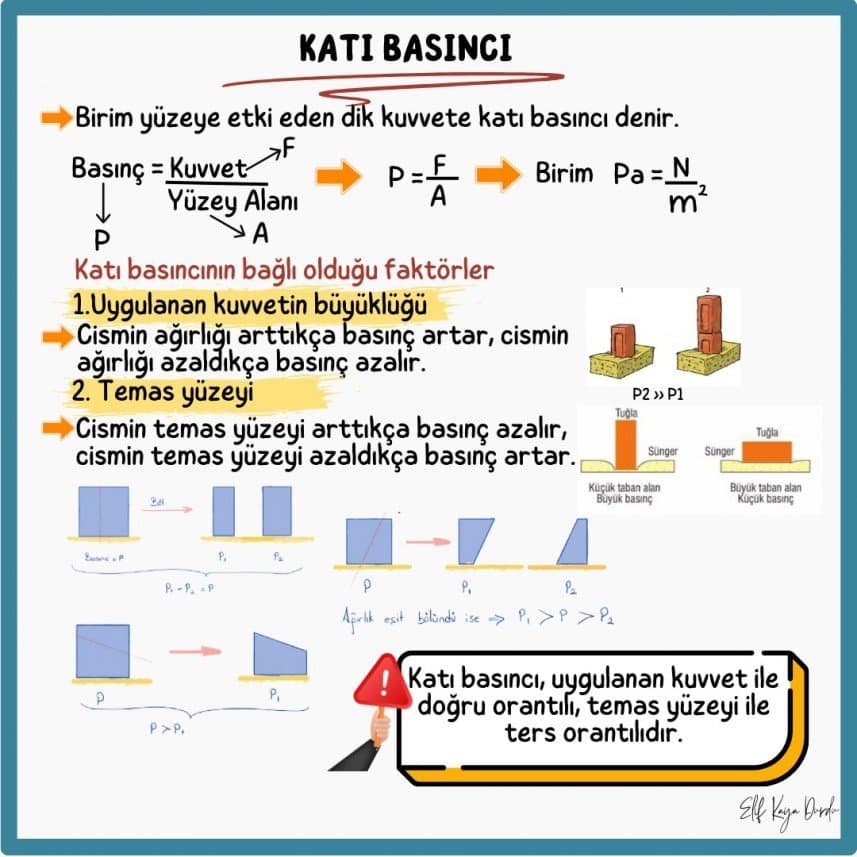 Elif D. — çalışma 2