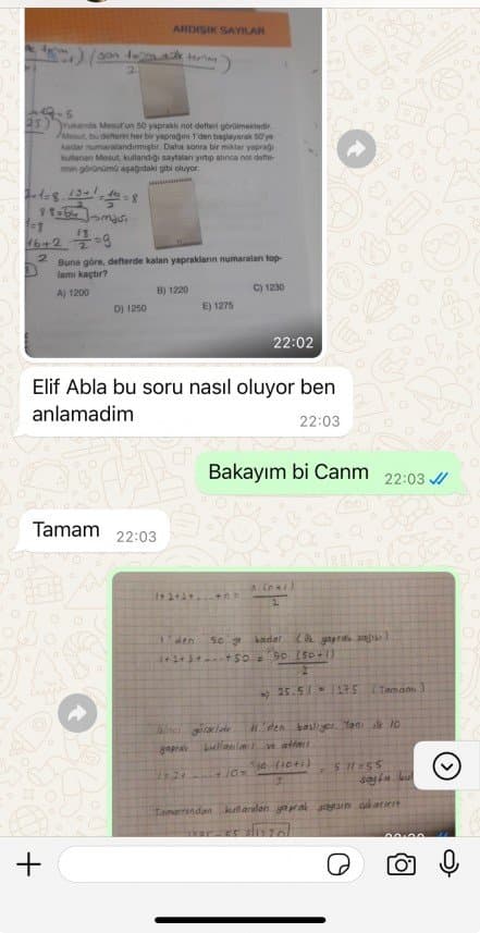 Elif Y. — çalışma 2