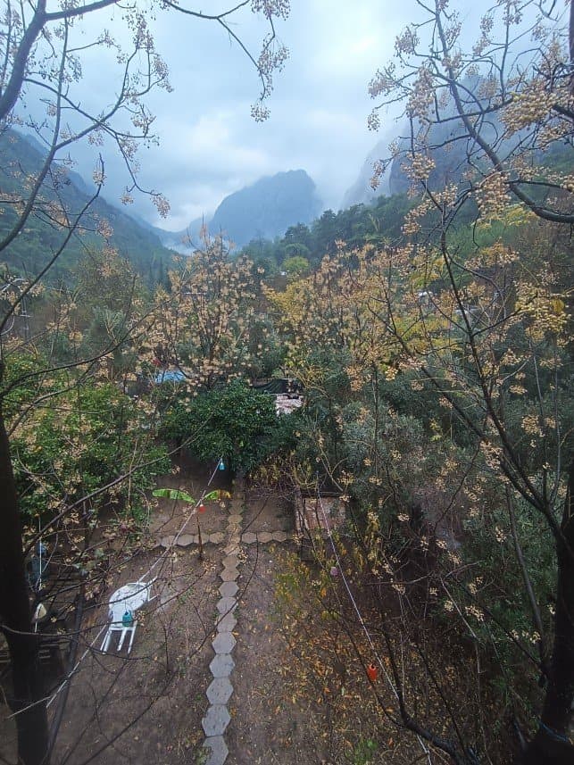 Elif Y. — çalışma 4