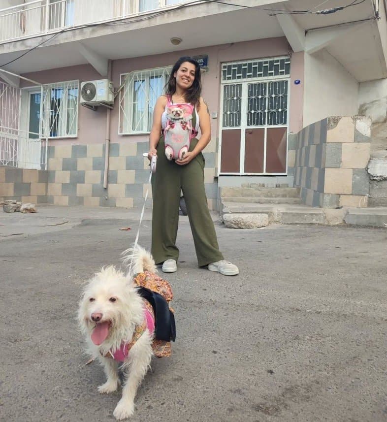 Elif Y. — çalışma 3