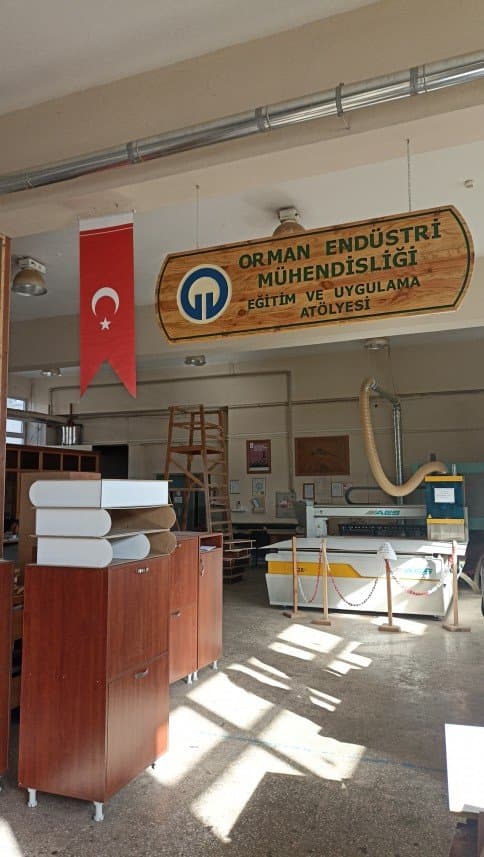 Elif T. — çalışma 4