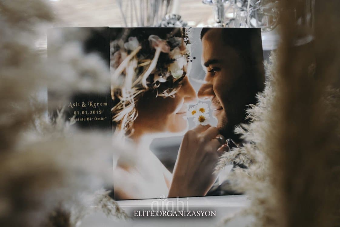 Elite O. — çalışma 1