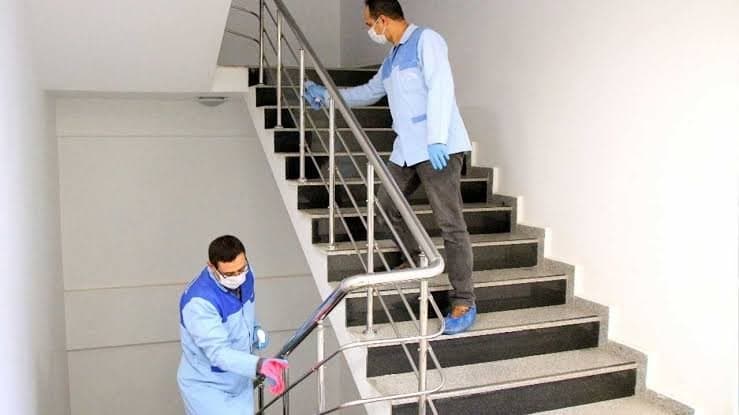 Elnar A. — çalışma 2