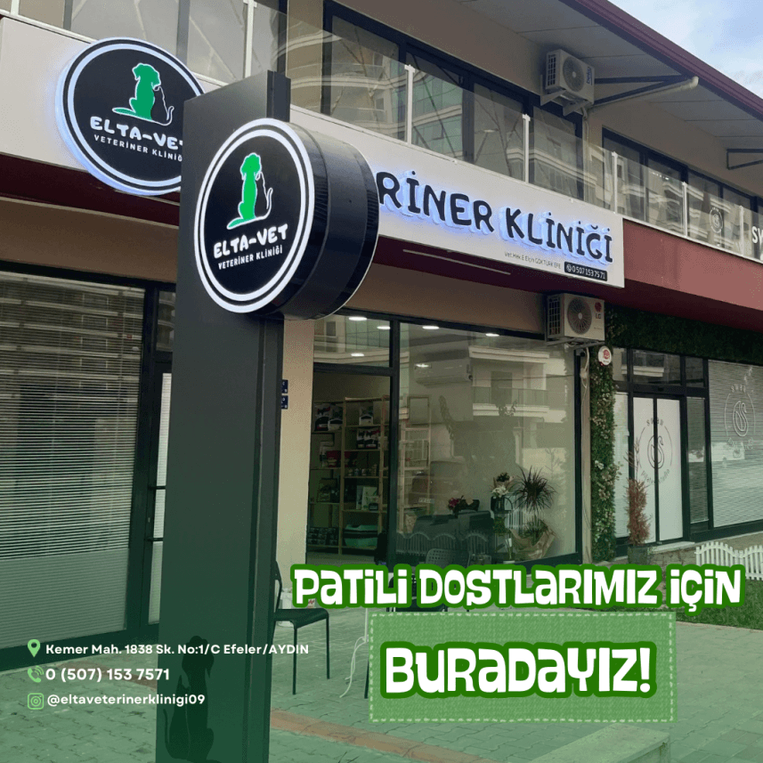 Emre G. — çalışma 5