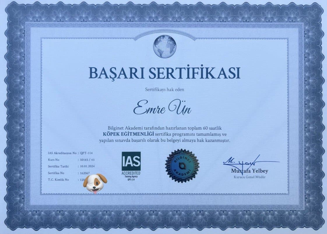 Emre Ü. — çalışma 7
