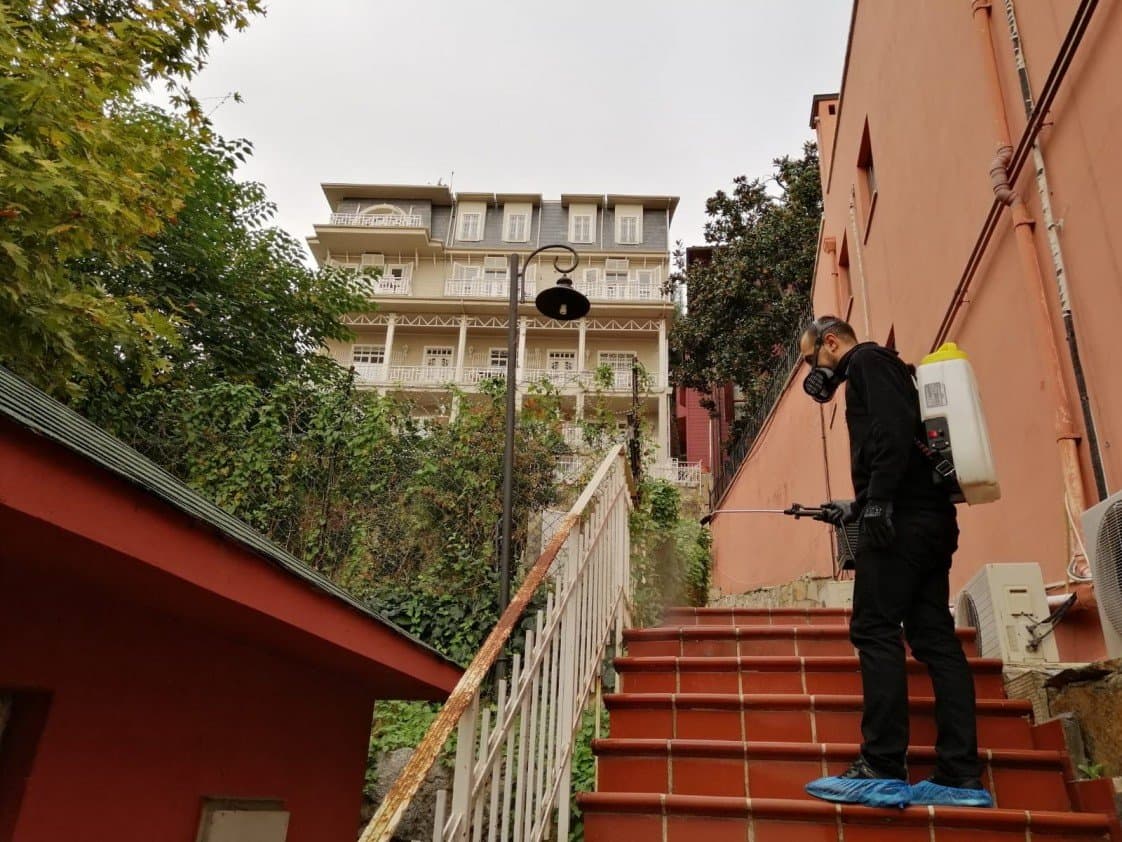 Enze Y. — çalışma 4