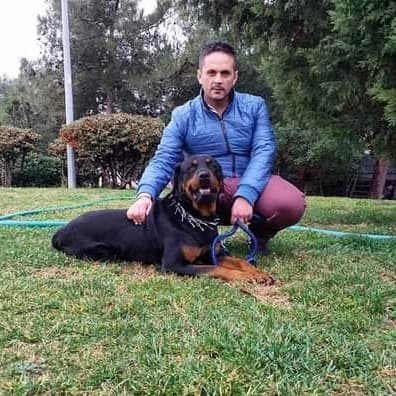 Ercag K. — çalışma 3