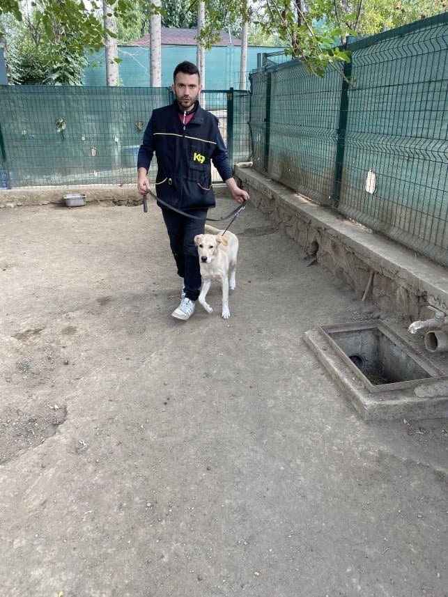 Eren A. — çalışma 5