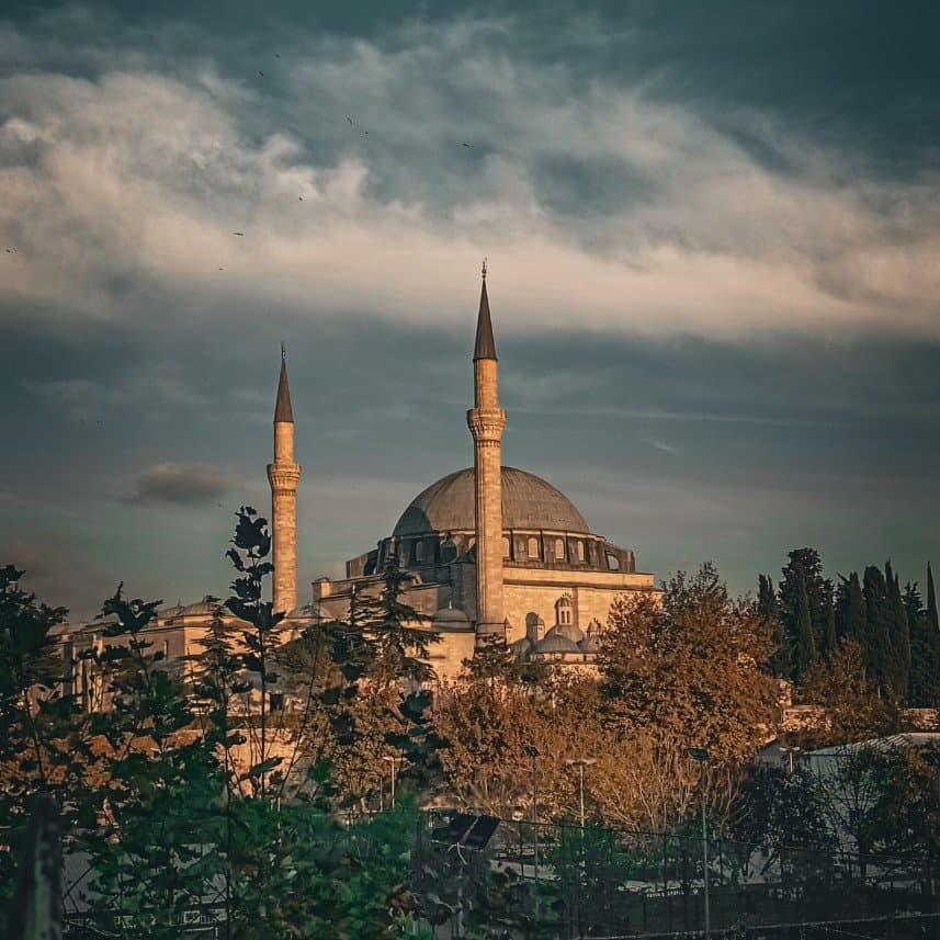 Erkan T. — çalışma 1