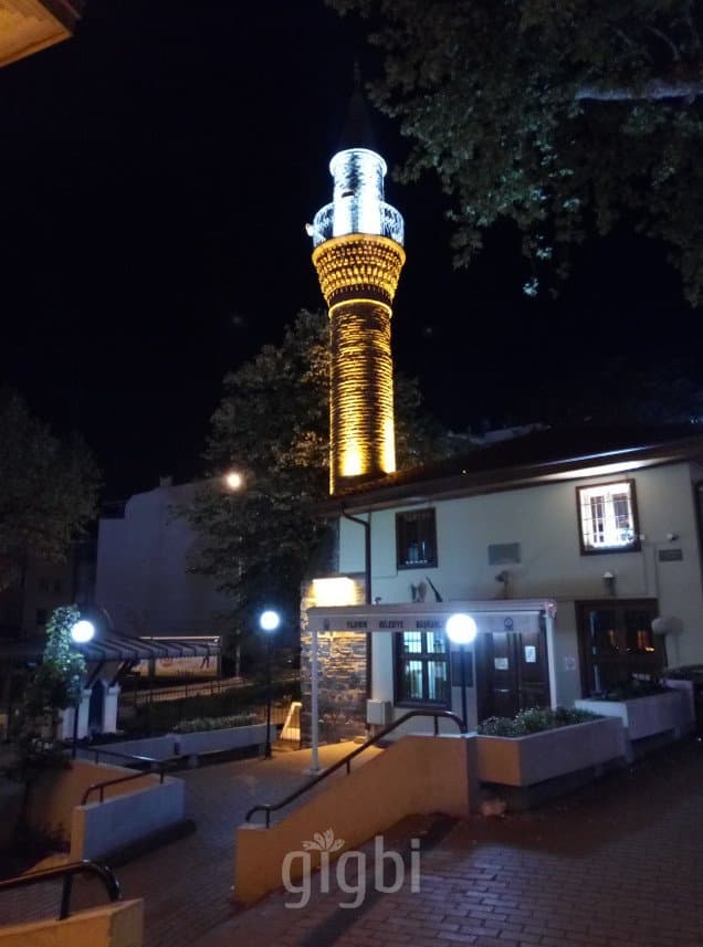 Erman F. — çalışma 3