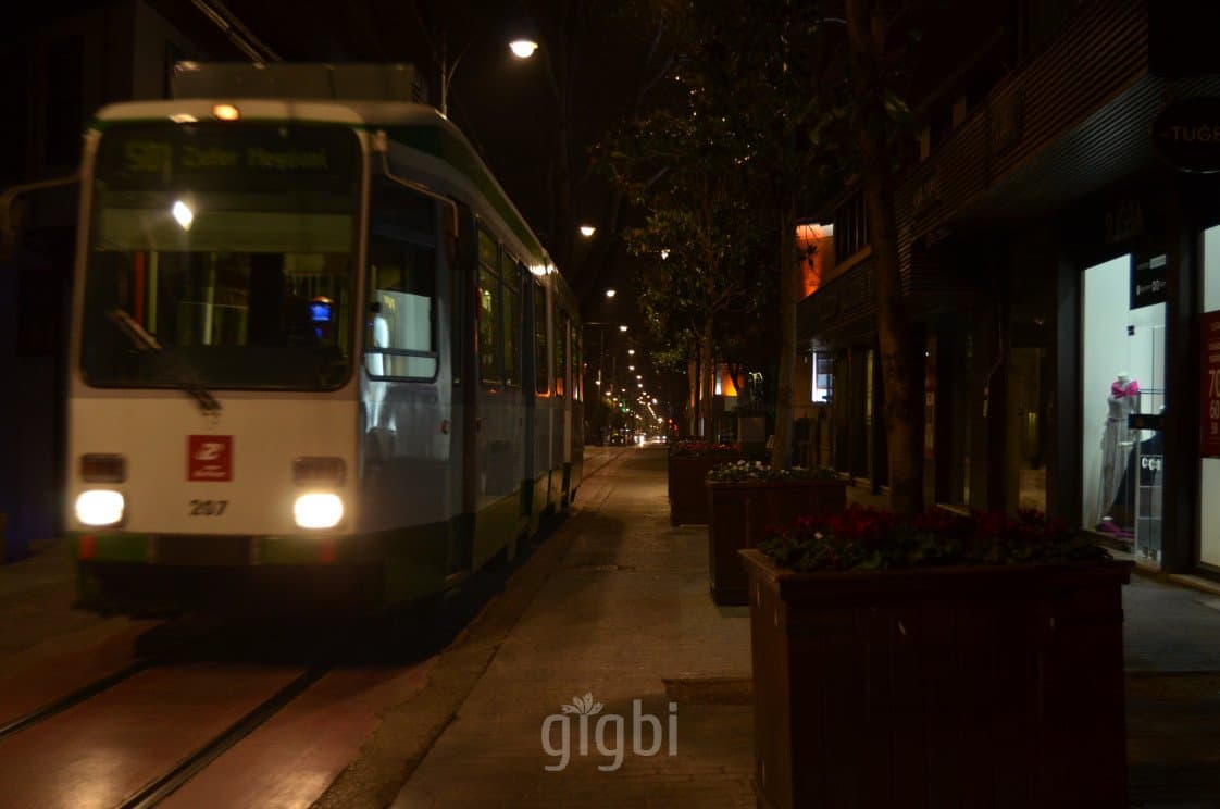 Erman F. — çalışma 5