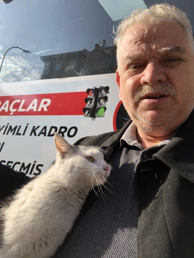 Ersin D. — çalışma 1
