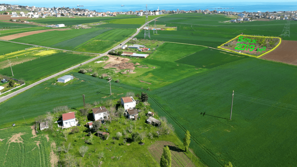 AlGa D. — çalışma 6