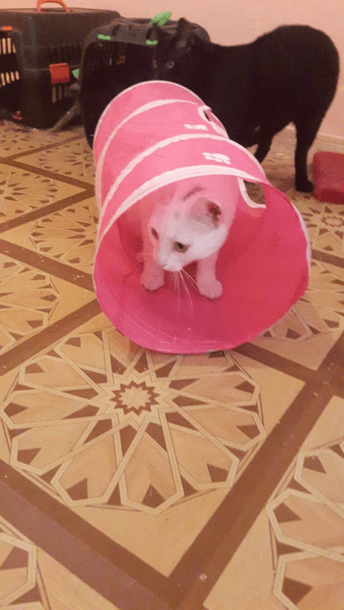 Burcu Ö. — çalışma 6