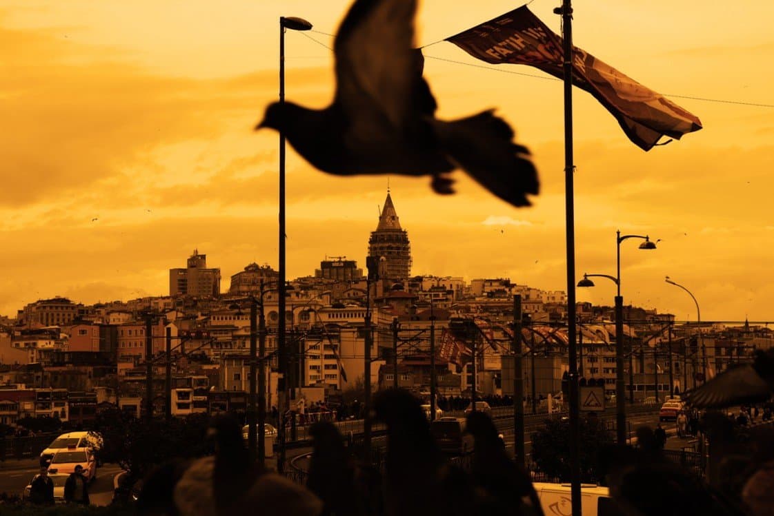 Esra D. — çalışma 8