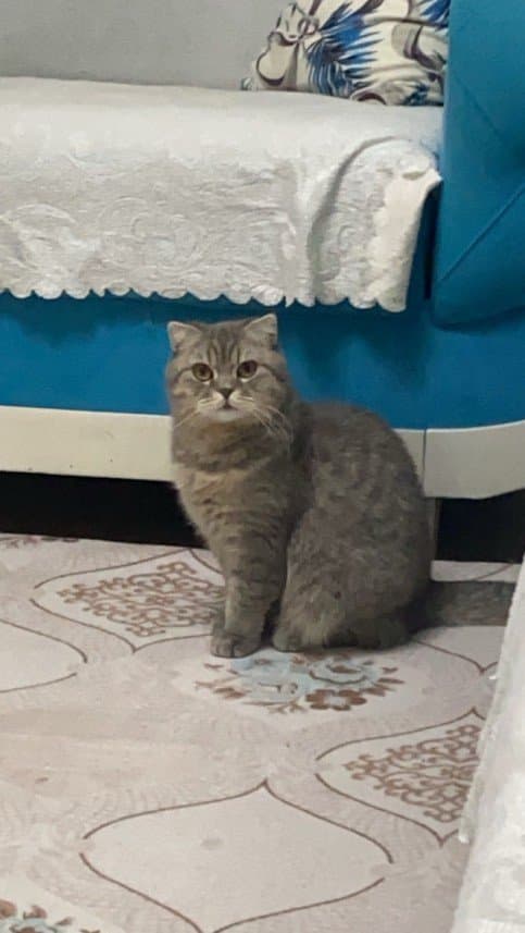 Esra G. — çalışma 2