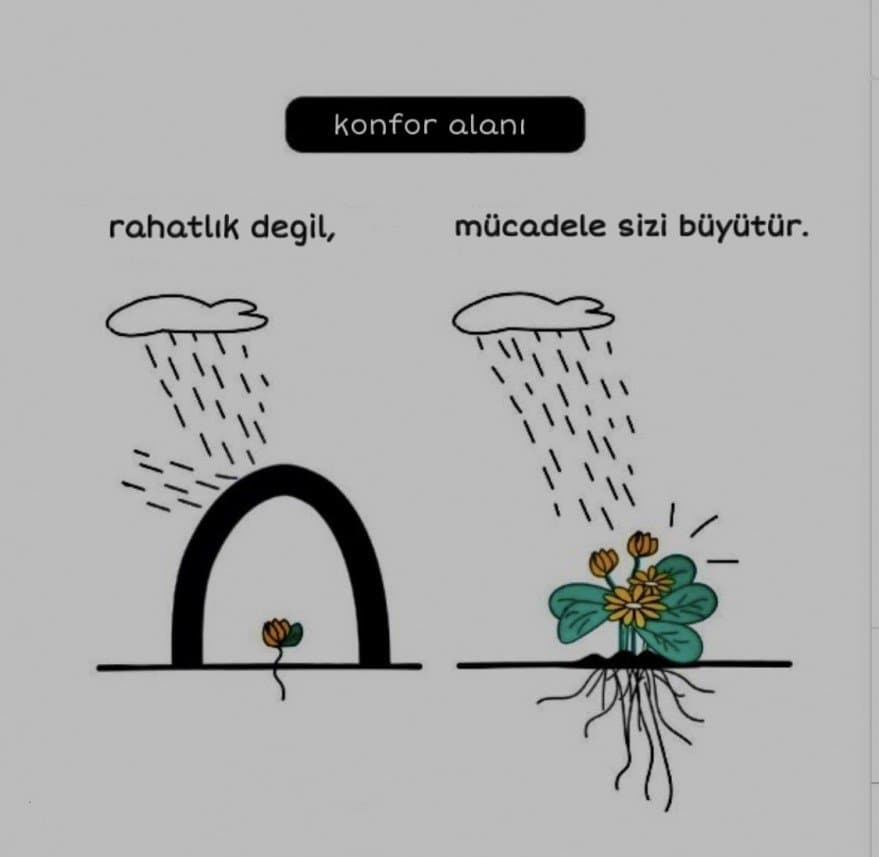 Evra Ö. — çalışma 2