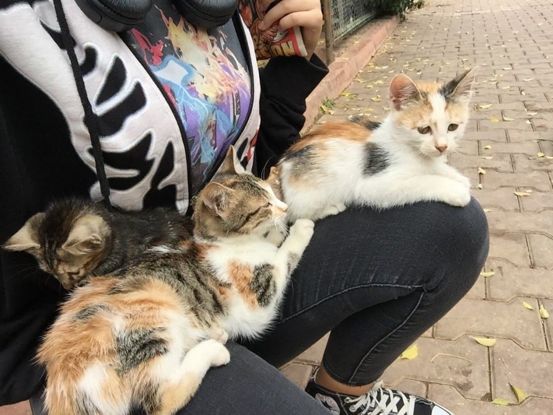 Eylül Ş. — çalışma 3