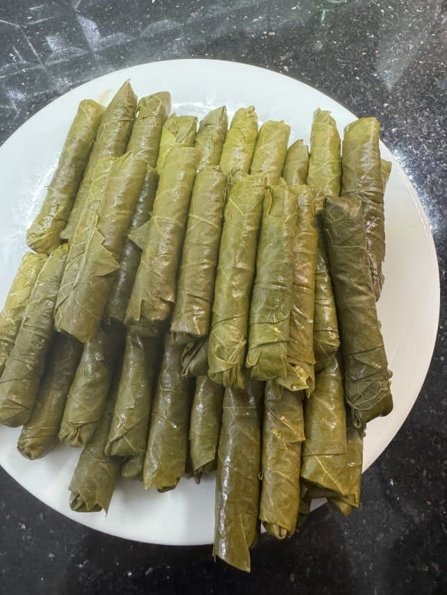 Ezgi E. — çalışma 6