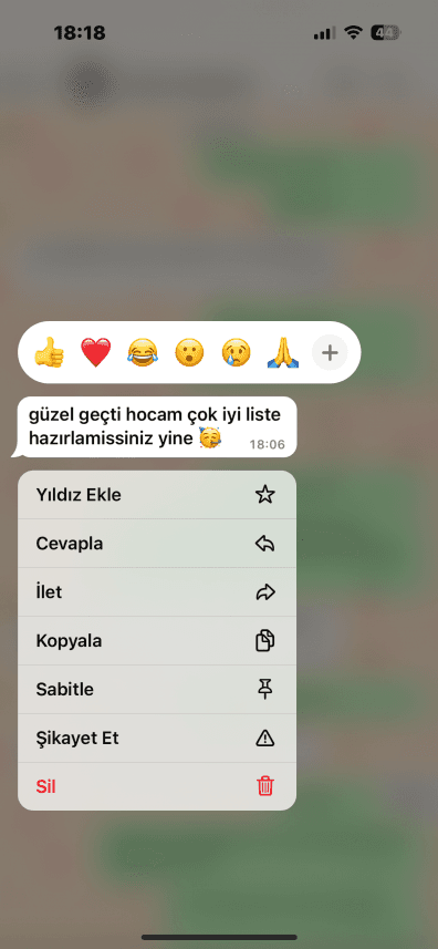 Ezgi K. — çalışma 1