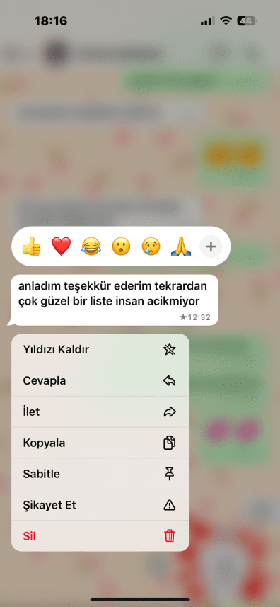 Ezgi K. — çalışma 3